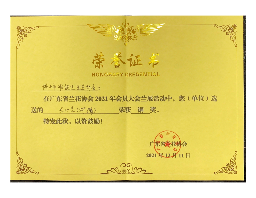 文心蘭(檸檬)獲銅獎